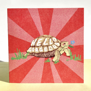 Kaart schildpad - Hallo knapperd met envelop