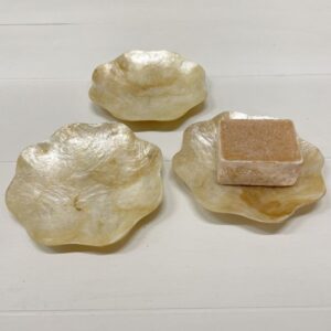 Schaaltje schelp voor geurblokje